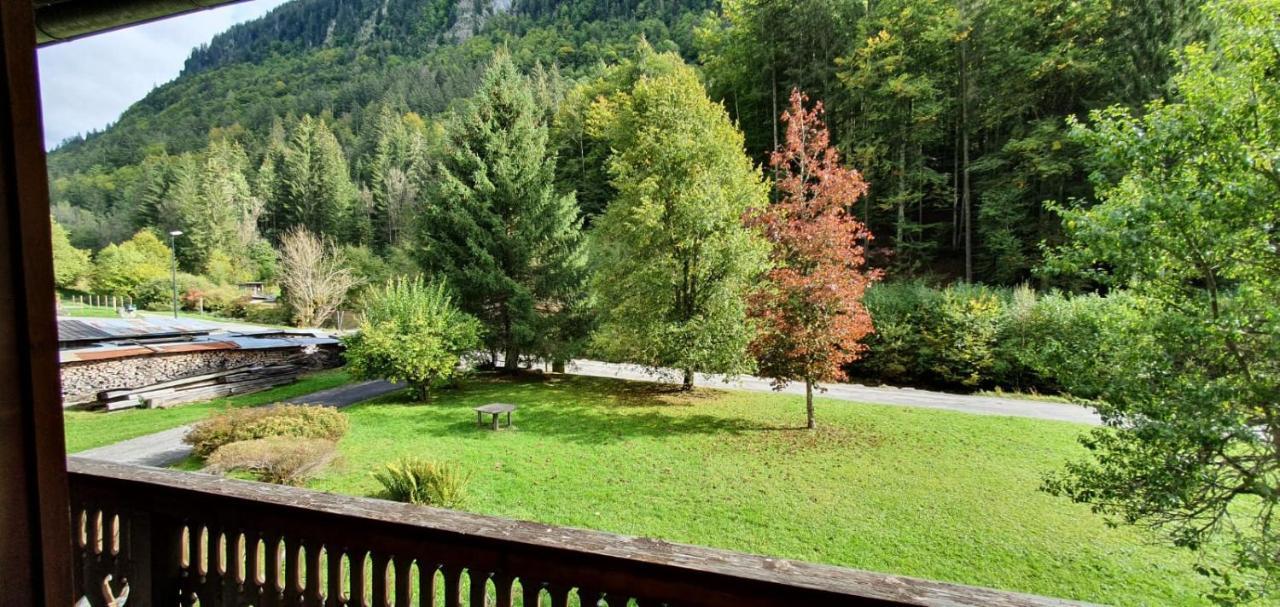 Appartement-3-Chambres-8-Couchages-Wifi-Montriond-Chebourins エクステリア 写真