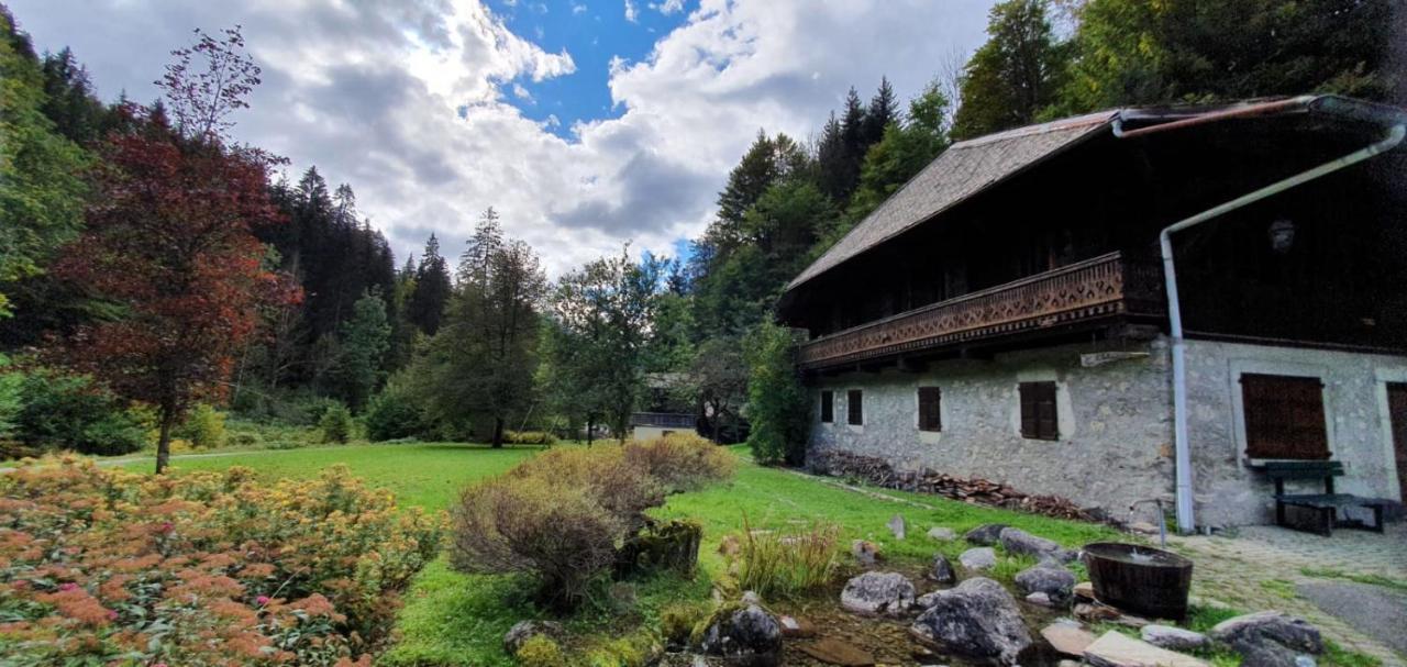 Appartement-3-Chambres-8-Couchages-Wifi-Montriond-Chebourins エクステリア 写真